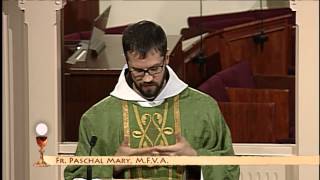 EWTN Daily Catholic Mass  Fr Paschal Mary  Repentance and Belief [upl. by Ialda412]