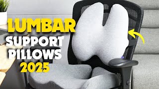 9 BEST LUMBAR SUPPORT PILLOWS OF 2025 [upl. by Calla]