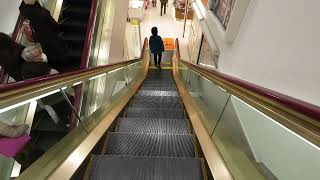 山口 大丸 下関店 1F‐B1F  Daimaru Department Store Shimonoseki Escalator Yamaguchi Japan [upl. by Encratis]