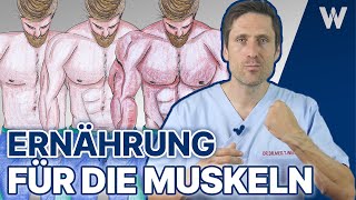 5x Ernährung für den schnellen Muskelaufbau amp Transformation Diese Nahrung geht in die Muskeln [upl. by Ribak]