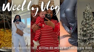 Weekly Vlog  Putting Up Christmas Tree Getting Brows Microbladed Ranting amp More  Arnell Armon [upl. by Daeriam683]