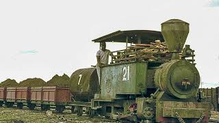 Steam and diesel engines on the Vale of Rheidol Railway [upl. by Tad]