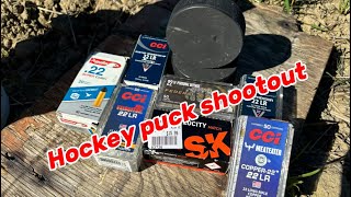 Hockey pucks vs 22lr Who wins this shootout [upl. by Tamara890]