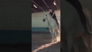 Bareback riding no Halter and no saddle ❤️ horses horseriding caballos equitation equestrian [upl. by Nivlam]