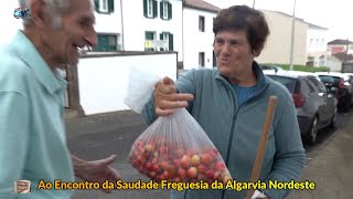 quotAo Encontro da Saudadequot Hoje Foi Freguesia Algarvia Concelho de Nordeste Ilha de São Miguel Açores [upl. by Adnalu933]