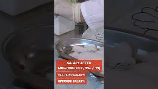 Bachelor of Microbiology Salary [upl. by Hekker962]