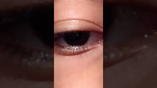 I like to make eye contact videos eyeseyelashes [upl. by Airres642]