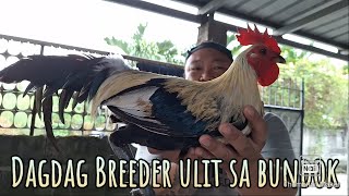 Dagdag batch ulit ng breeder sila Tito sa bundok [upl. by Valdas998]