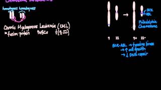 Chromosomal Translocations [upl. by Pietrek]