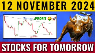 4 Intraday Stocks  Intraday Stocks for Tomorrow  Stocks to Buy Tomorrow  12 November 2024 [upl. by Nylram]