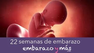 22 semanas de embarazo  Quinto mes  EMBARAZOYMAS [upl. by Assennav]