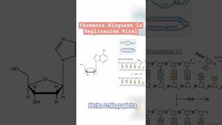 Fármacos que Bloquean la Replicación Viral Descubre cómo [upl. by Oicelem]