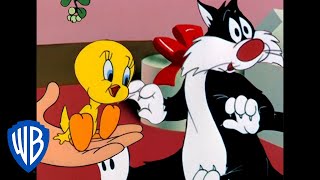 Looney Tunes  Sylvester Kiss the Little Birdy  Classic Cartoon  WB Kids [upl. by Buehrer]