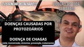 Doenças causadas por protozoários  Doença de Chagas ciclo prevenção tratamento e sintomas [upl. by Felty]