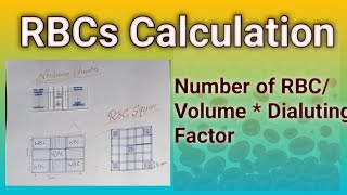 RBCs Calculation Formula hematology microscope dmlt Bsmlt [upl. by Omidyar336]