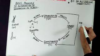 XI Botany Topic quotBasic Principle of Alternation of Generation in Plantsquot Lecture 1 [upl. by Terra]