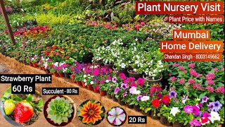 Plant Nursery Visit  Cheapest Plant Nursery  Plant Price with Names  Kalina Nursery Mumbai [upl. by Nylatsyrc]