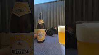 Riegele Hefe Weisse cat craftbeer beerlove [upl. by Niletak21]