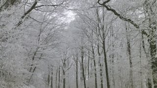 Weerbericht donderdagmiddag Winter blijft [upl. by Evyn636]