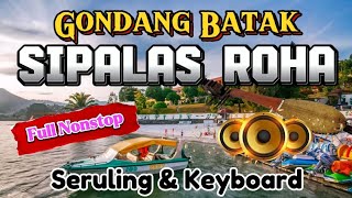 GONDANG BATAK SI PALAS ROHA FULL NONSTOP KEYBOARD SERULING MENEMANI DIPERJALANAN [upl. by Esma]