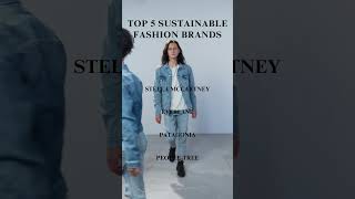 🌿 Top 5 Sustainable Fashion Brands 🌎 [upl. by Ynabe246]