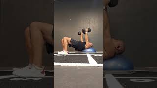 Bosu Push up variation chestworkout dumbells bosu fitness strengthtraining [upl. by Haral]