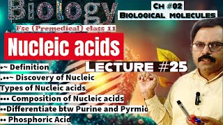 Nucleic Acids Definition Composition DNA RNA Biology class 11 Biomolecules in hindi amp Urdu [upl. by Llerej]