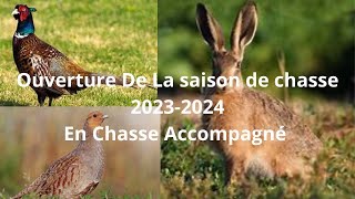 Chasse accompagnée  Mes débuts à louverture  20232024 [upl. by Aiza]