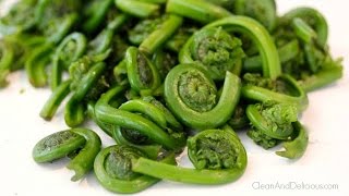 Fiddlehead Ferns 101  Everything You Need to Know [upl. by Ellezaj]