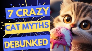 Debunking Popular Cat Myths EyeOpening Facts [upl. by Felicle]