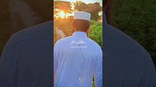 mawlaya salli wa sallimo dayeman abadanforyou gojol shortvideo beautiful of Islam [upl. by Alice]