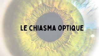 Chiasma optique voies et lésions optiques👀 [upl. by Daphne502]