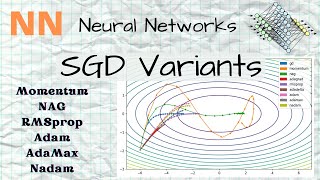 NN  25  SGD Variants  Momentum NAG RMSprop Adam AdaMax Nadam Theory [upl. by Filmer494]