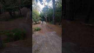 Roosting will123mtb mtb viralvideo fypシ゚viral viralshorts fun [upl. by Attenej526]