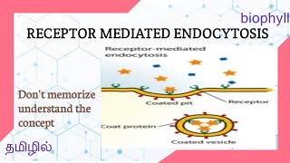 ALLIED HEALTH SCIENCES  Receptor mediated endocytosis in tamil [upl. by Ydoc]