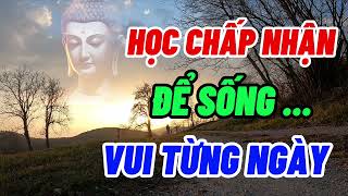 Học Cách Bình Thản Để Sống Vui Từng Ngày  Suy Ngẫm Sự Đời  Chánh Pháp Tuệ Giác [upl. by Thurston]