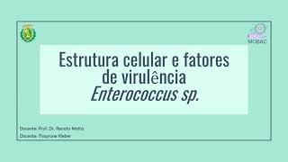 Fatores de virulência Enterococcus sp [upl. by Bloxberg]