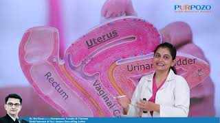 Know Your Internal Pelvic Organs  Uterus Hindi [upl. by Ahsekam882]