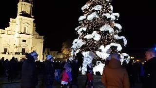 Kaunas Lithuania  Christmas Tree in 2018 [upl. by Nerot]