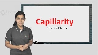 Watch this one video and never forget what Capillarity is JEE Physics XI Fluids [upl. by Leyameg]