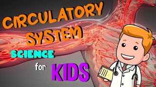 Circulatory System  Science for Kids [upl. by Analart]