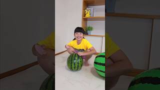 Newest Mochi funny Best video 😂😂😂mochi [upl. by Enaid894]