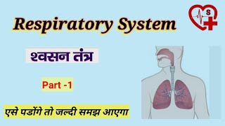 respiratory system anatomy and physiology in hindi  types  phases  divided [upl. by Acenes]