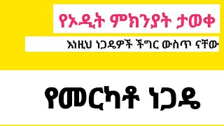 ኦዲት የሚደረጉ ነጋዴዎች [upl. by Annohsak]