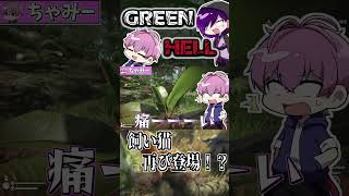 【GREEN HELL】最後まで飼い猫に遊ばれるちゃみー ゲーム実況 グリーンヘル greenhell [upl. by Ozner]