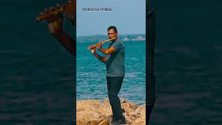 Imagine Dragons  Believer  Flute  Pathmaraj [upl. by Eiryk]