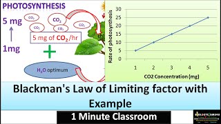 Blackmans Law of Limiting Factor with Example  BiologyExams4u 1 Minute Classroom [upl. by Icram56]