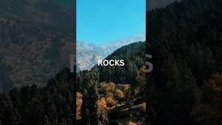 Types of Rocks youtubeshorts [upl. by Boru]