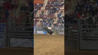 Bullride Mania 2023 At Harrisburg Farm Show Complex PA [upl. by Aiksas]