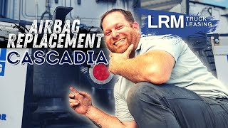 Airbag Replacement Freightliner Cascadia  LRM [upl. by Esinahs616]